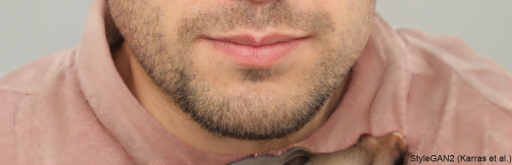 thispersondoesnotexist3-2